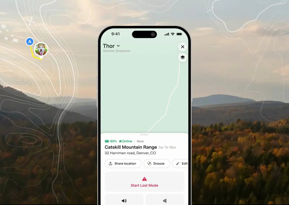 Fi app in Lost Mode